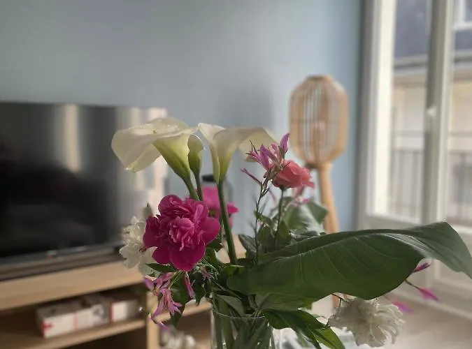 Bel T3 Au 1er Etage Avec Cour Interieure Au Rdc - Marie Bagnères-de-Luchon