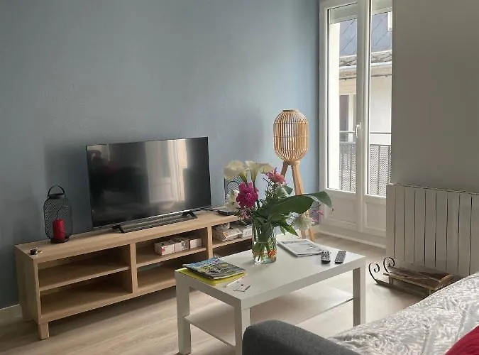 Appartement Bel T3 Rénové Avec Cour Intérieure - Marie *